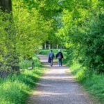 Actividades para personas mayores en residencias