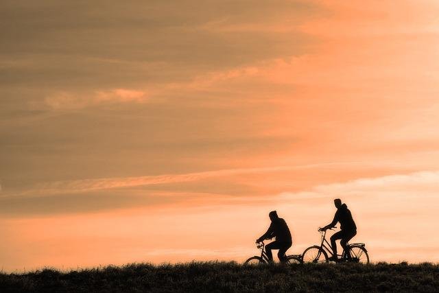 Ejercicios recomendados para un entrenamiento seguro y efectivo