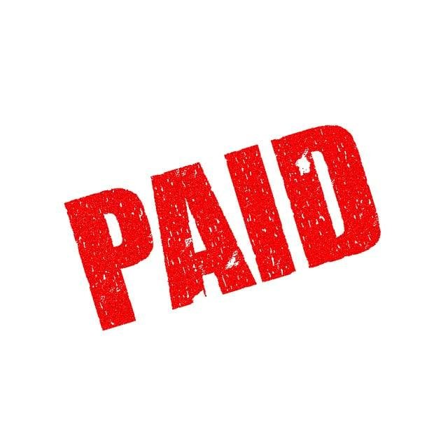 Voluntariado ⁤remunerado: Alternativas que ‌combinan pasión y compensación