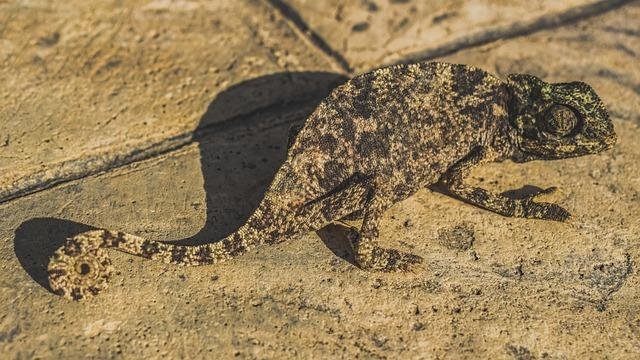 recursos para la adaptación del hogar y mejora de la calidad de vida